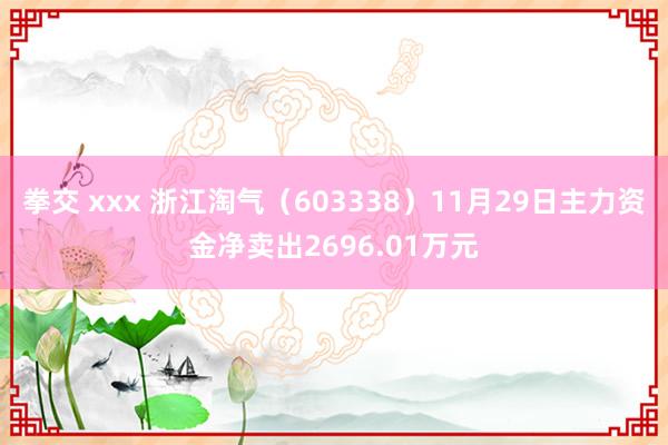 拳交 xxx 浙江淘气（603338）11月29日主力资金净卖出2696.01万元