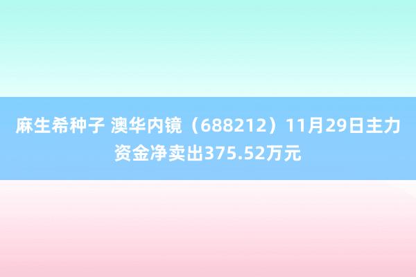 麻生希种子 澳华内镜（688212）11月29日主力资金净卖出375.52万元