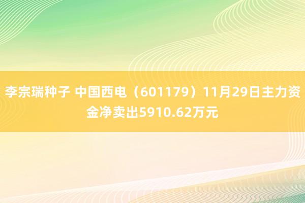 李宗瑞种子 中国西电（601179）11月29日主力资金净卖出5910.62万元