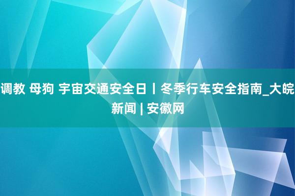 调教 母狗 宇宙交通安全日丨冬季行车安全指南_大皖新闻 | 安徽网