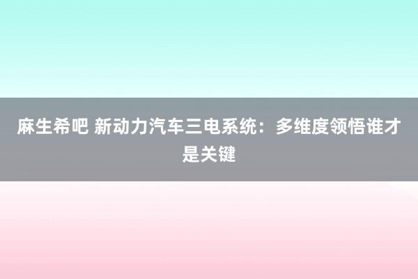 麻生希吧 新动力汽车三电系统：多维度领悟谁才是关键