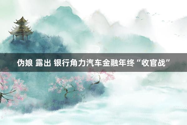 伪娘 露出 银行角力汽车金融年终“收官战”