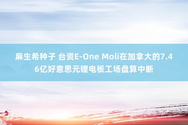 麻生希种子 台资E-One Moli在加拿大的7.46亿好意思元锂电板工场盘算中断