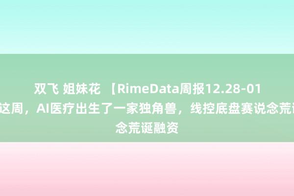 双飞 姐妹花 【RimeData周报12.28-01.03】这周，AI医疗出生了一家独角兽，线控底盘赛说念荒诞融资