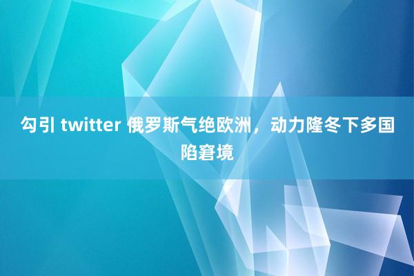 勾引 twitter 俄罗斯气绝欧洲，动力隆冬下多国陷窘境