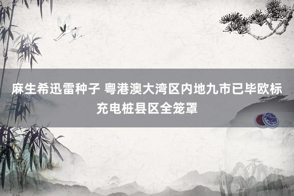 麻生希迅雷种子 粤港澳大湾区内地九市已毕欧标充电桩县区全笼罩