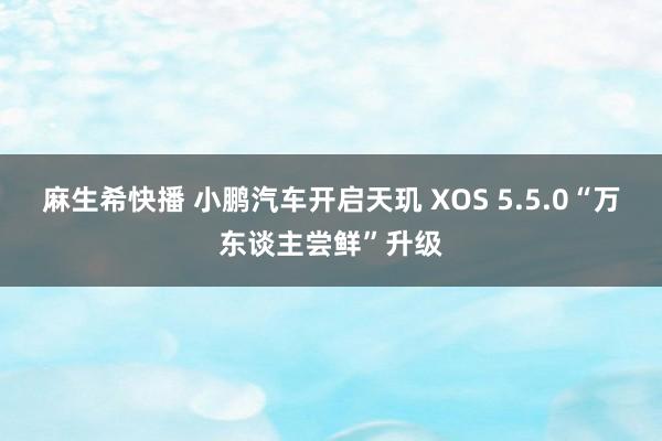 麻生希快播 小鹏汽车开启天玑 XOS 5.5.0“万东谈主尝鲜”升级