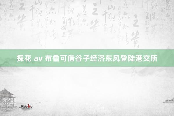 探花 av 布鲁可借谷子经济东风登陆港交所