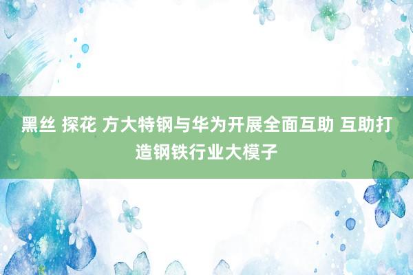 黑丝 探花 方大特钢与华为开展全面互助 互助打造钢铁行业大模子